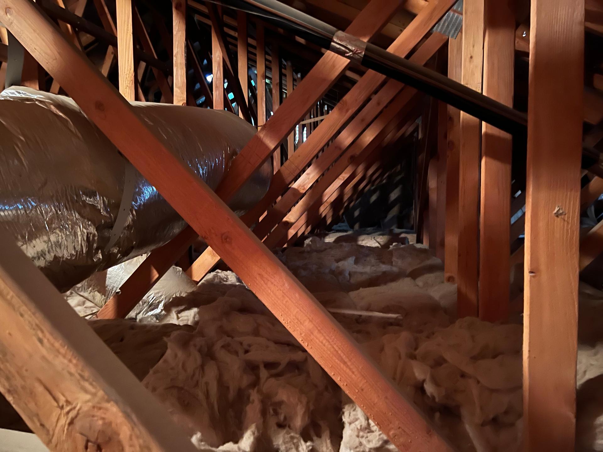 Attic Inspection